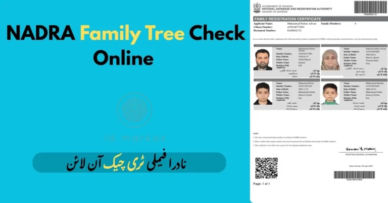 How to check NADRA Family Tree 2025 online and through SMS in Pakistan